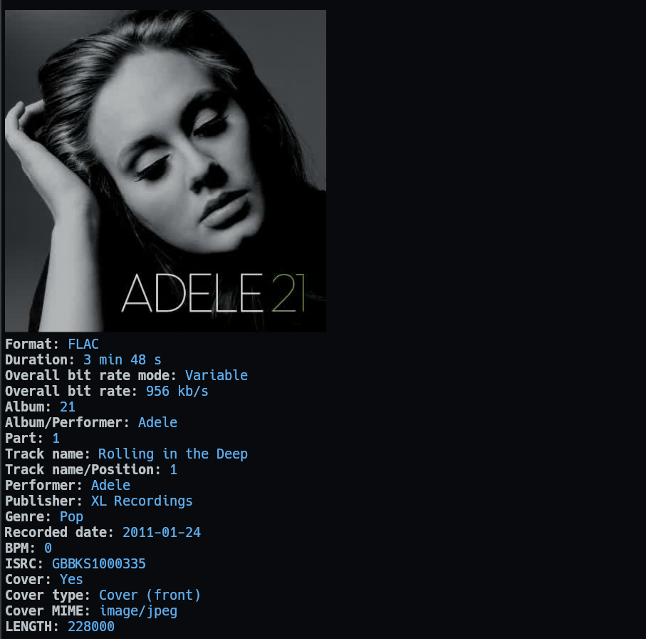 audio_with_cover_picture